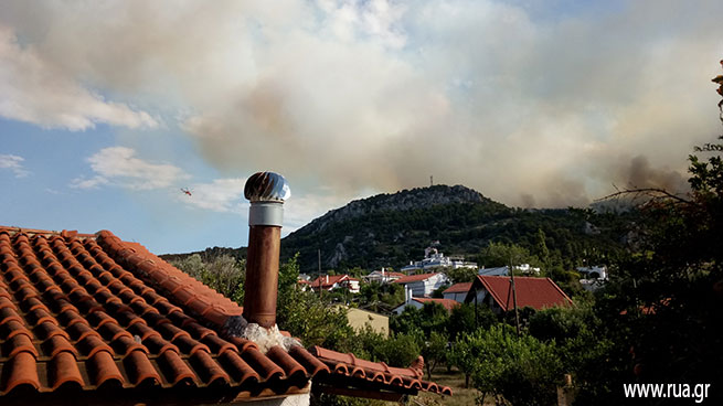 В Греции, Португалии и Франции вспыхнули масштабные лесные пожары