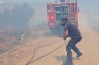 Лесные пожары в Аттике и на Закинфе взяты под контроль