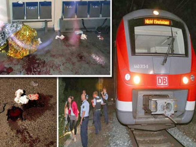 Кровавую бойню в поезде устроил 17-летний исламист