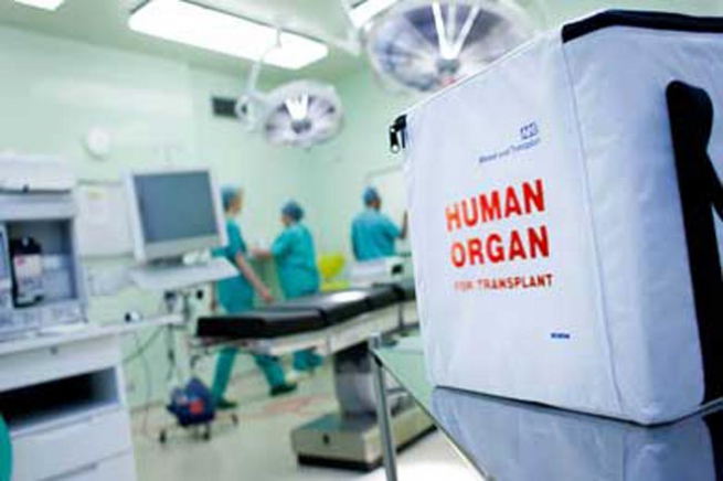 Показатели по трансплантации органов в Греции самые низкие в ЕС