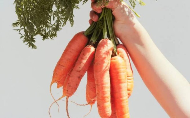 Морковный салат, усмиряющий "взбунтовавшиеся" гормоны: как его приготовить