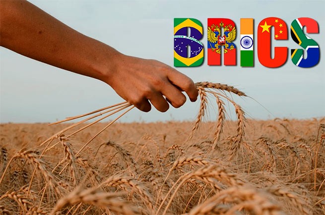 BRICS: Россия попросила партнеров немедленно отказаться от доллара, как валюты в торговле зерном