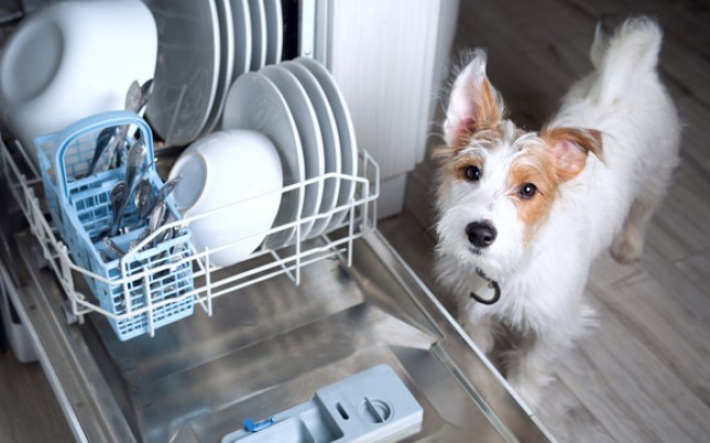 Химикаты для посудомоечных машин загрязняют пищу и "убивают" кишечник