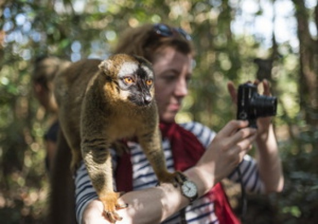 Путешествие на Мадагаскар подарит знакомство с уникальной флорой и фауной