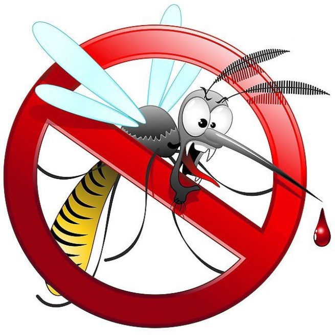 Как избавиться от комаров и москитов