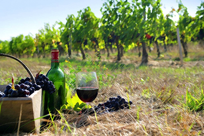 Греческие виноделы: вина в мире стали лучше, а конкуренция жестче