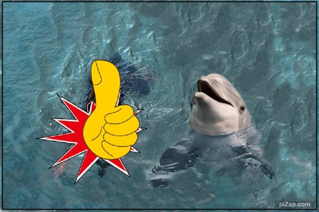 В Коринфском заливе обнаружили редкого дельфина с "большим пальцем" на плавнике