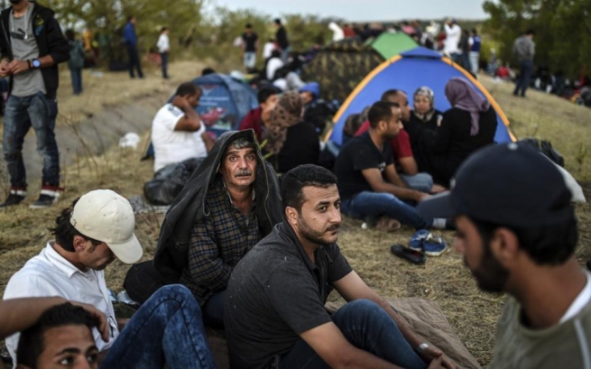 Более 1,2 млн человек запросили убежище в ЕС в прошлом году