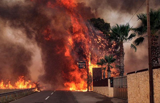 Лесной пожар на окраине Афин усиливается (видео)