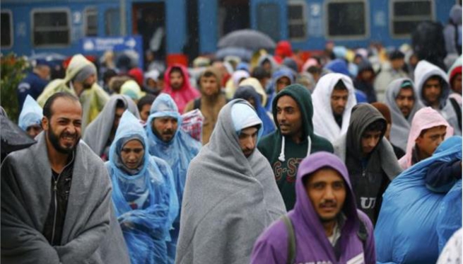 Правительство Германии: 30% «беженцев из Сирии» - лже-сирийцы
