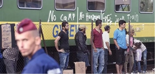 Венгрия проведет референдум по вопросу беженцев