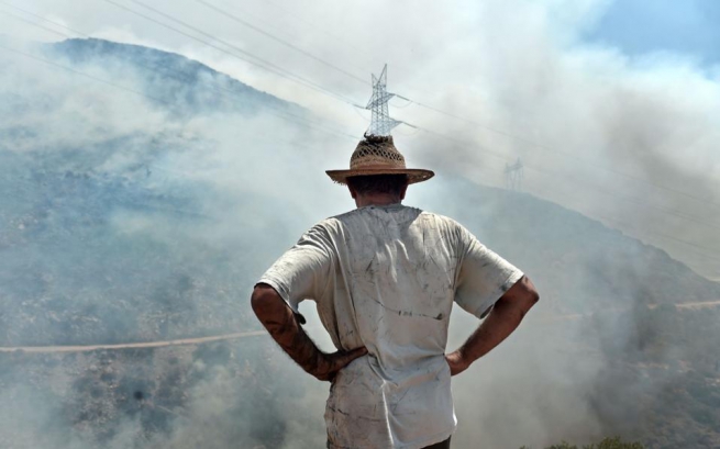 Два пчеловода арестованы по обвинению в пожаре на горе Имитос