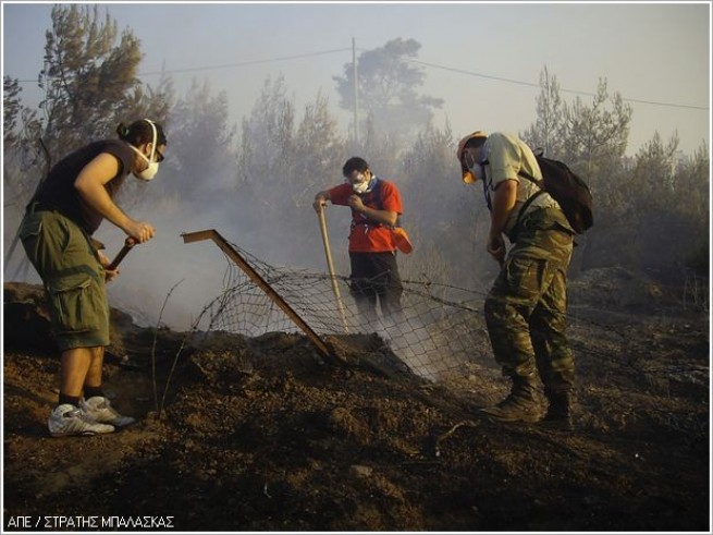 Жаркая и ветреная погода стала причиной многочисленных пожаров в Греции