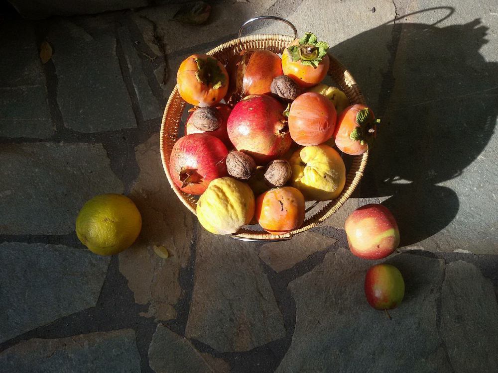 Сезонность фруктов знакома всем греческим детям Фото: из личного архива