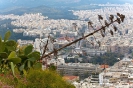 Афины с горы Ликавитос