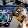 Полиция Греции, отдел защиты животных