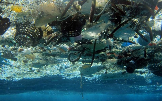 WWF: Средиземноморье превращается в «пластиковую ловушку»