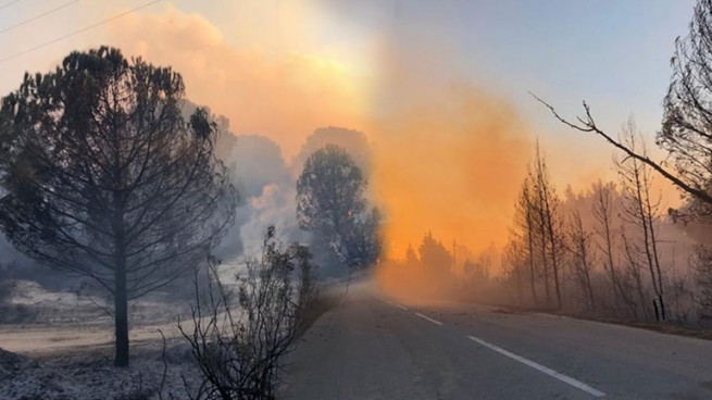 Лесной пожар в Халкидики вышел из под контроля