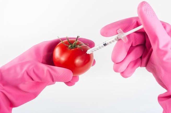 Грядут «суперурожаи» — ГМО-культуры «у нас на столе»