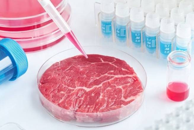 Защита традиции - итальянское правительство запрещает лабораторное мясо