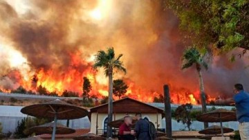Лесной пожар на Родосе угрожает Долине бабочек