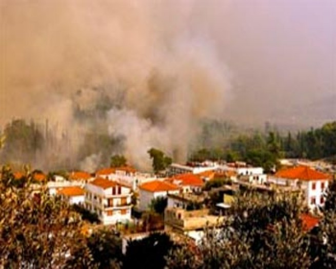 7000 гектаров леса потеряла периферия Эвроса в пожарах