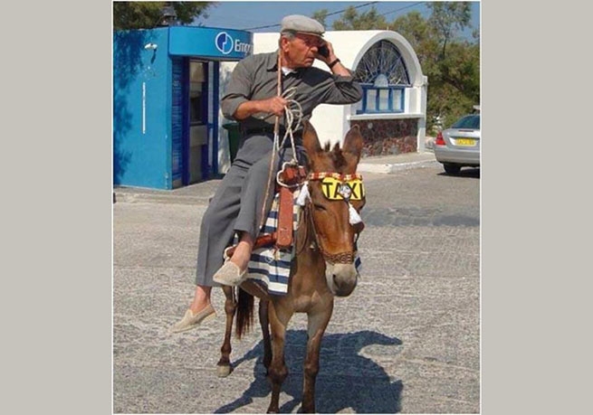 На Крите легализовали «ослиное такси»