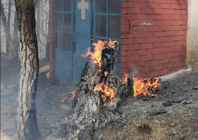 Лесной пожар на острове Самос вышел из-под контроля, один подозреваемый арестован