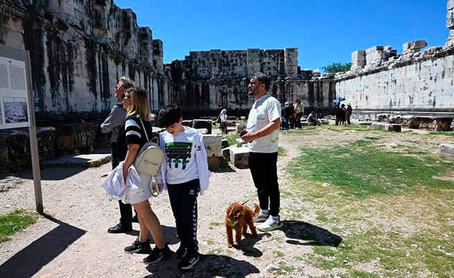 В Греции разрешено присутствие домашних животных на основных археологических памятниках
