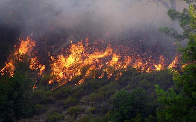 Огромный пожар на севере Греции продолжается уже 20 дней