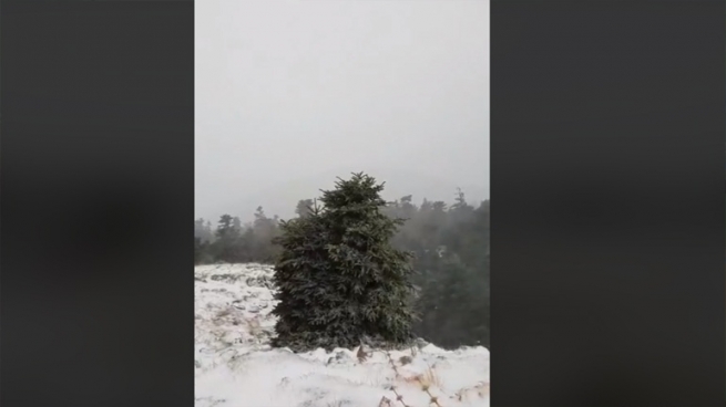 На горе Парнас выпал первый в этом году снег