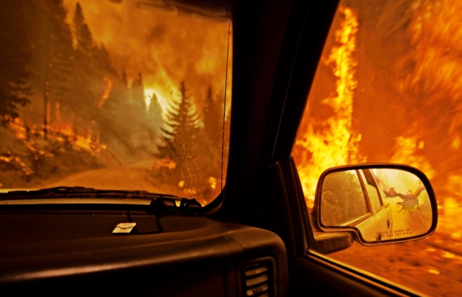 Португалия: 43 погибших от лесного пожара