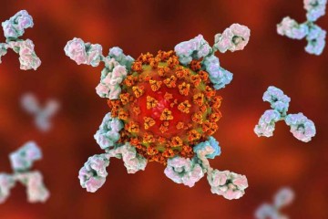 Дельта, лямбда, эпсилон - все, что известно о новых штаммах коронавируса