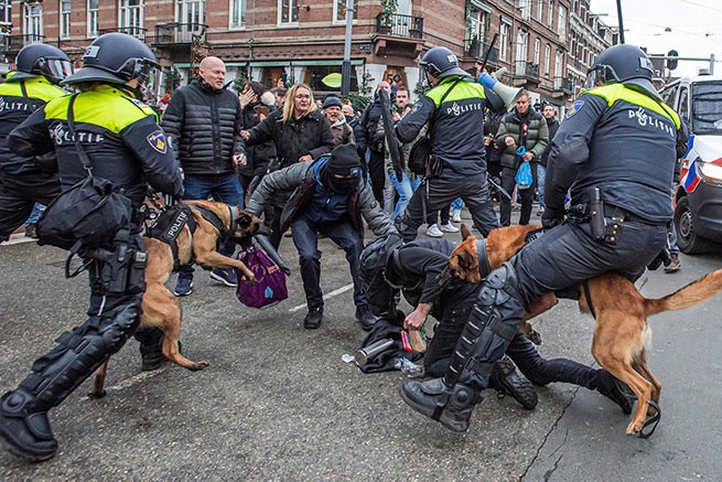 В Амстердаме полиция использовала служебных собак против протестующих