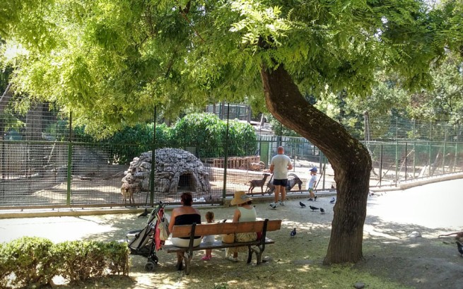 Парк для прогулок в центре Афин: что нового