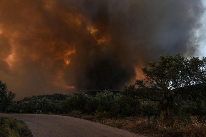 Масштабный пожар на Эвии локализован