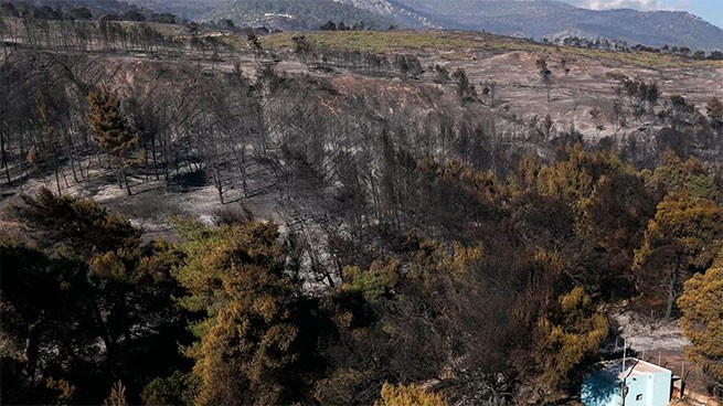 Пожар в Геранейских горах — самый разрушительный за десятилетие