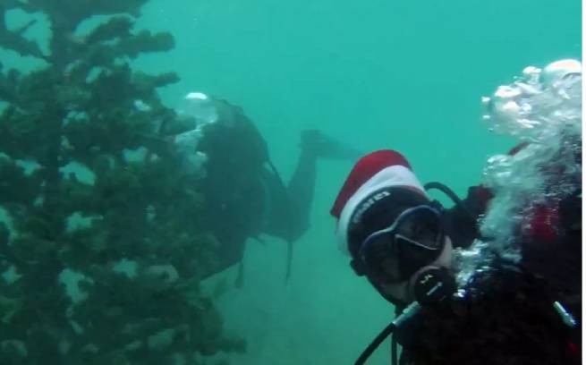 Рождественская елка на... дне морском (видео)