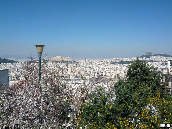 Февральская весна в Афинах