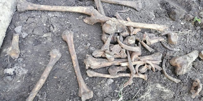 Жуткая находка на Китире: найдены 45 фрагментов человеческих останков