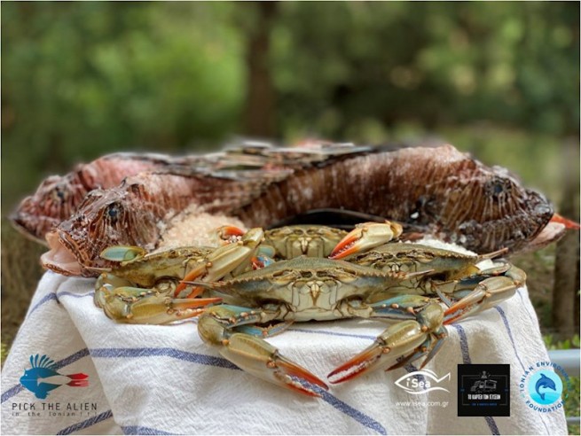 «Съешь это прежде, чем съедят тебя» — гастрономический фестиваль морепродуктов