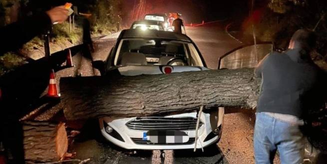Непогода: дерево рухнуло на проезжающую машину