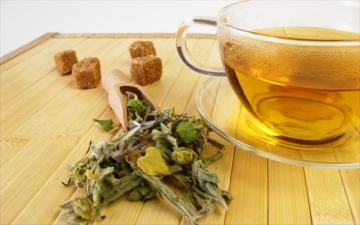 Целебные свойства греческого горного чая