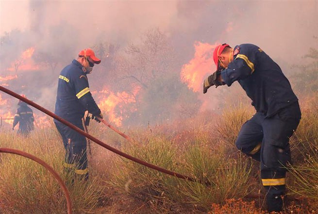 Греция: дроны и датчики помогут в "профилактике" лесных пожаров (видео)