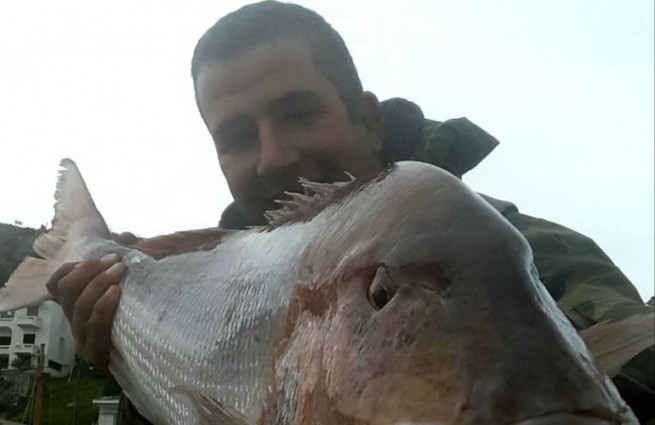 Удачный улов на Хиосе: В сети попал зубан весом 15,5 кг