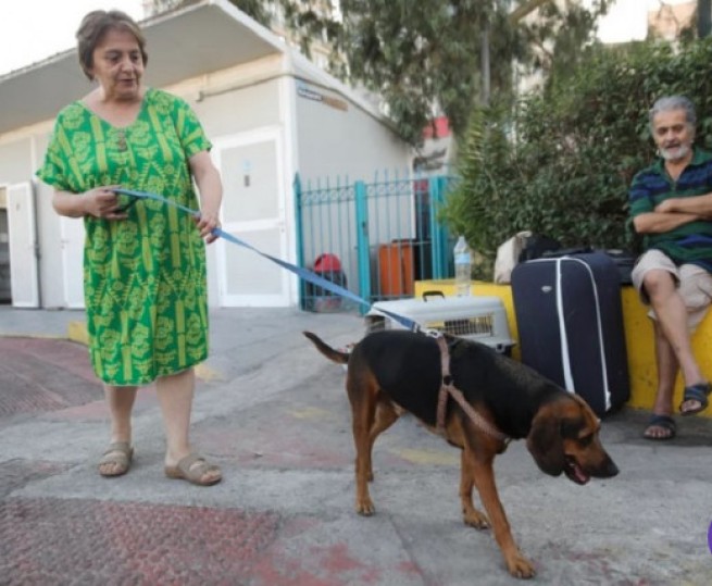 Пара провела ночь в порту Пирей, их не пустили ни в одну гостиницу из-за собаки