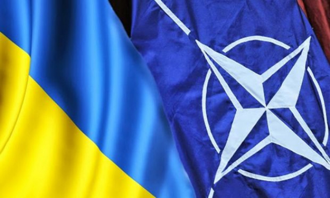 Итоги голосования по теме: "Введет ли НАТО войска в Украину?"