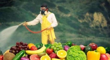 Какие фрукты и овощи содержат больше всего пестицидов?