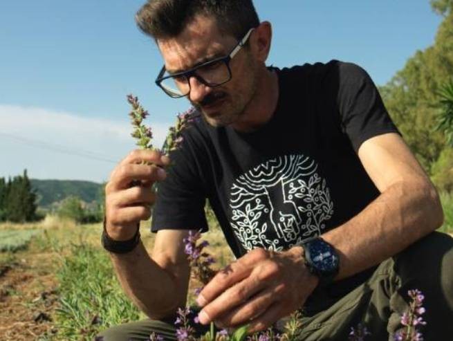 Греческие травы в капсулах для эспрессо - отмеченная наградами идея для стартапа