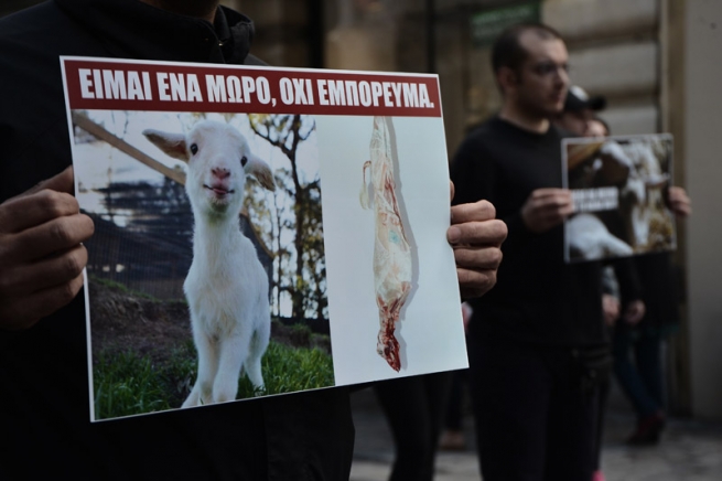 Вегетарианцы в Афинах провели протест пасхальной традиции жарить барашка